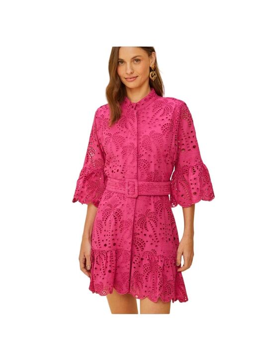 FARM Rio Dresses & Skirts - FARM Rio Pink Palm Eyelet Lace Boho Mini Dress